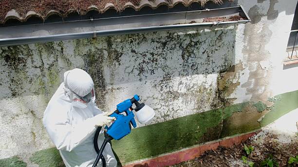 Trusted Crawl Space Mold Removal service in Fair Haven, NY - Cheap Mold Removal